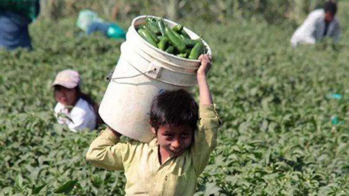 NIños en el campo